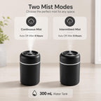 Compact USB Mist Humidifier — 300 ml